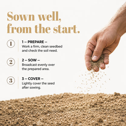 Wicked Tuff Turf Sandy Soil Lawn Seed Mix