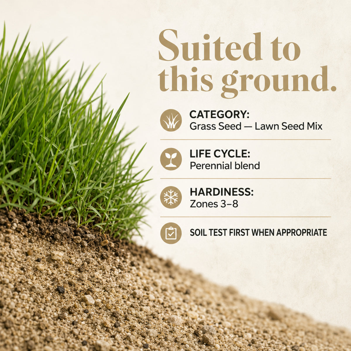 Wicked Tuff Turf Sandy Soil Lawn Seed Mix