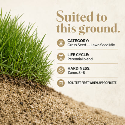 Wicked Tuff Turf Sandy Soil Lawn Seed Mix