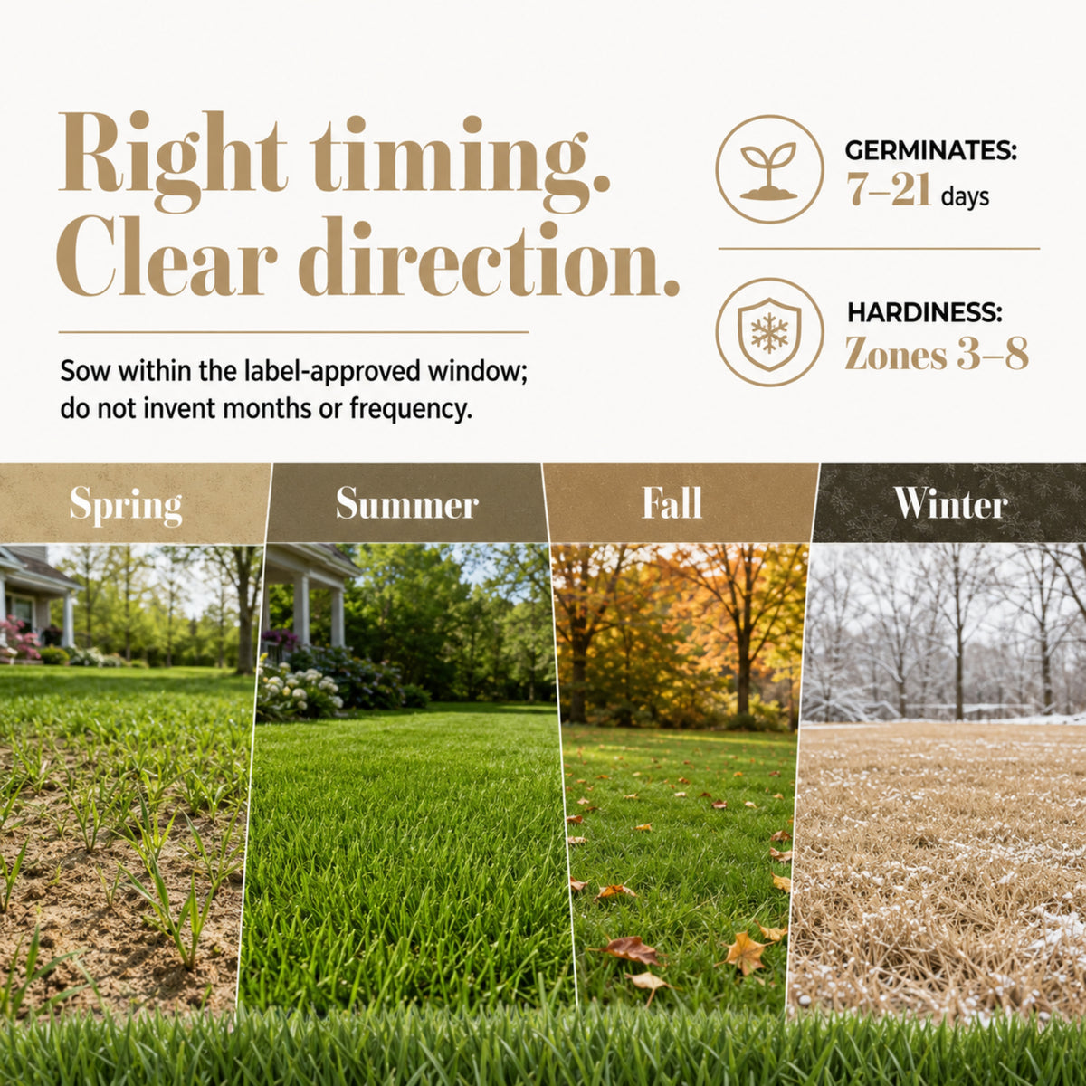 Wicked Tuff Turf Sandy Soil Lawn Seed Mix