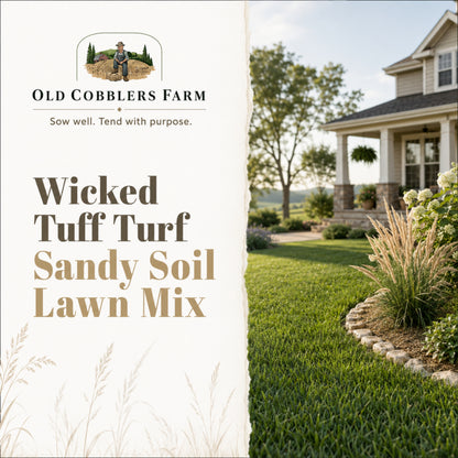 Wicked Tuff Turf Sandy Soil Lawn Seed Mix
