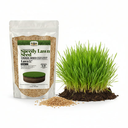 Wicked Tuff Turf Speedy Lawn Seed