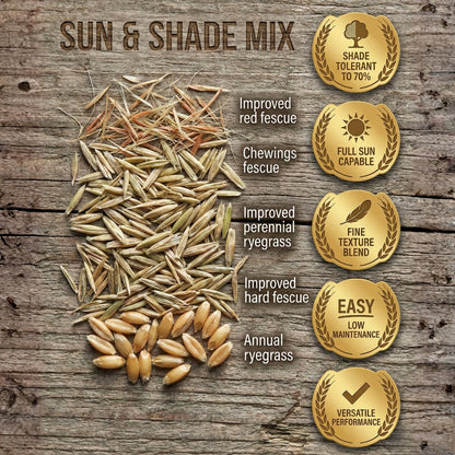 Wicked Tuff Turf Sun & Shade Grass Seed Mix