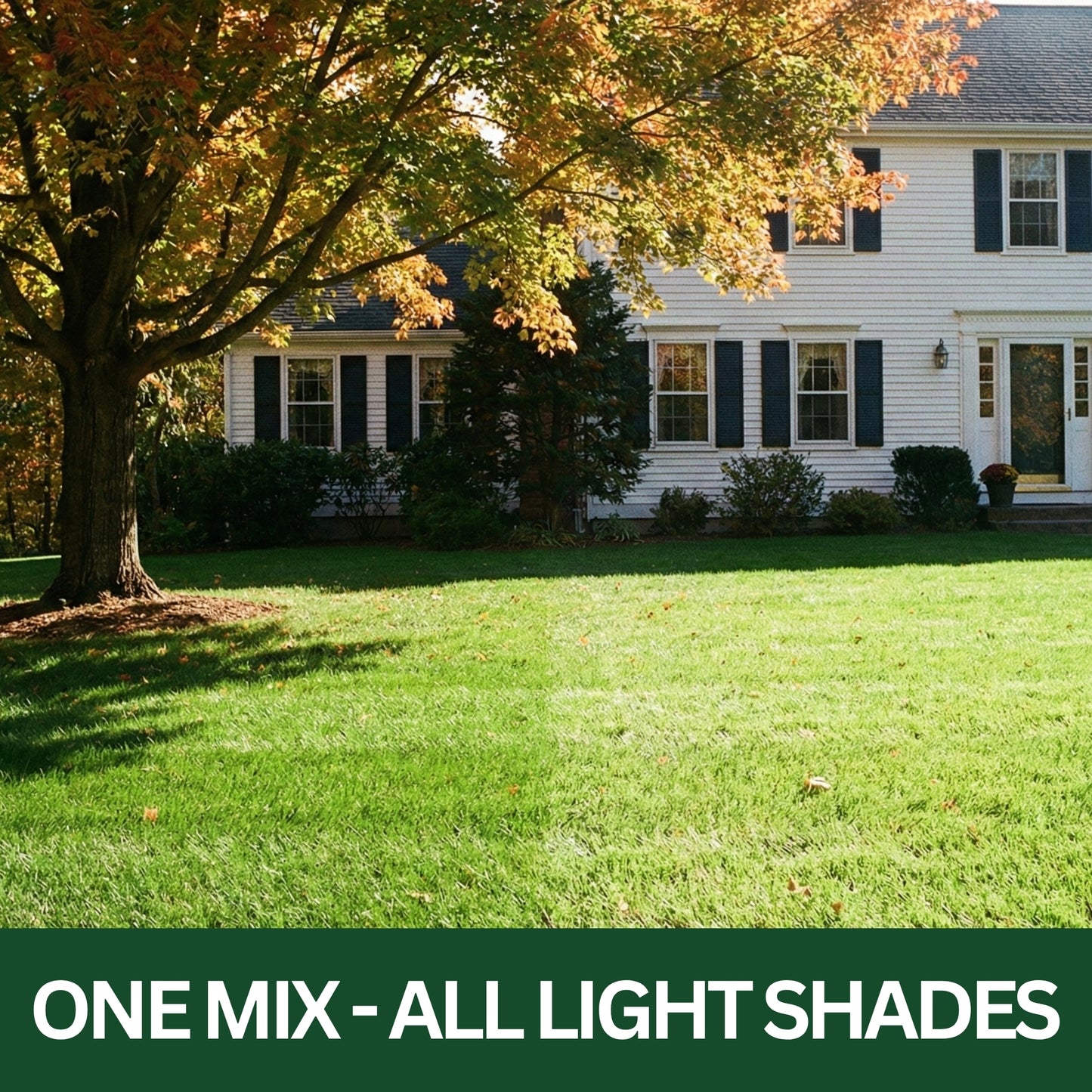 Wicked Tuff Turf Sun & Shade Grass Seed Mix