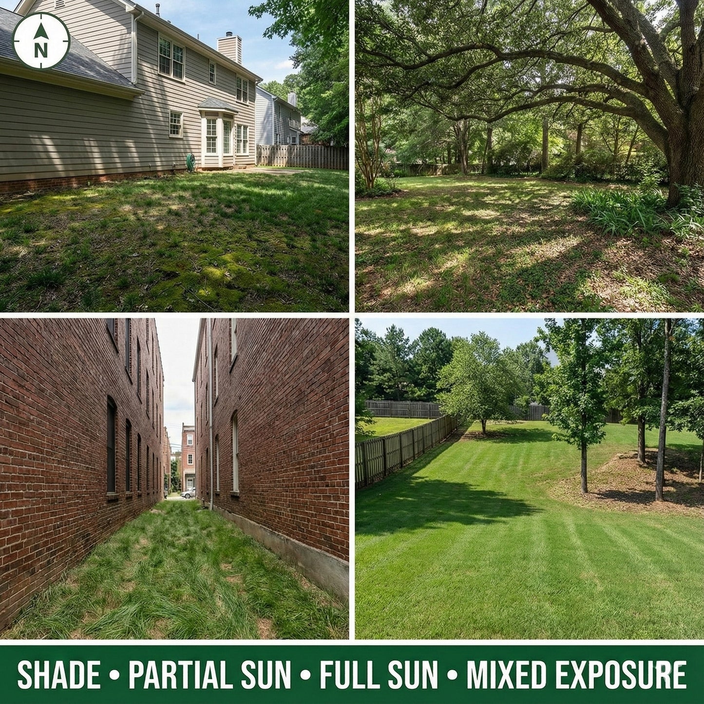 Wicked Tuff Turf Sun & Shade Grass Seed Mix