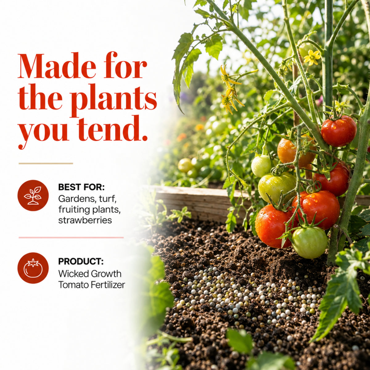 Wicked Growth Tomato Fertilizer