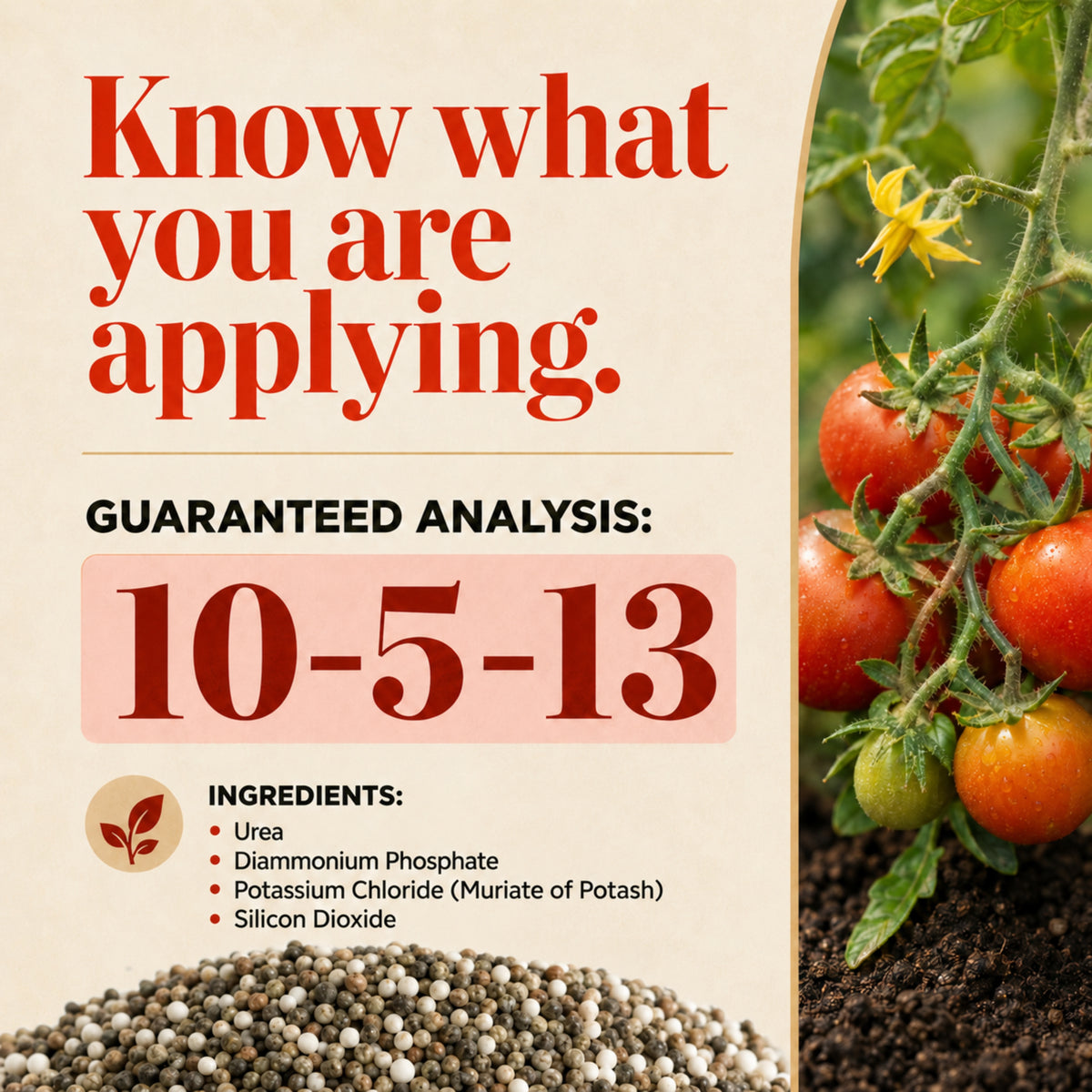 Wicked Growth Tomato Fertilizer