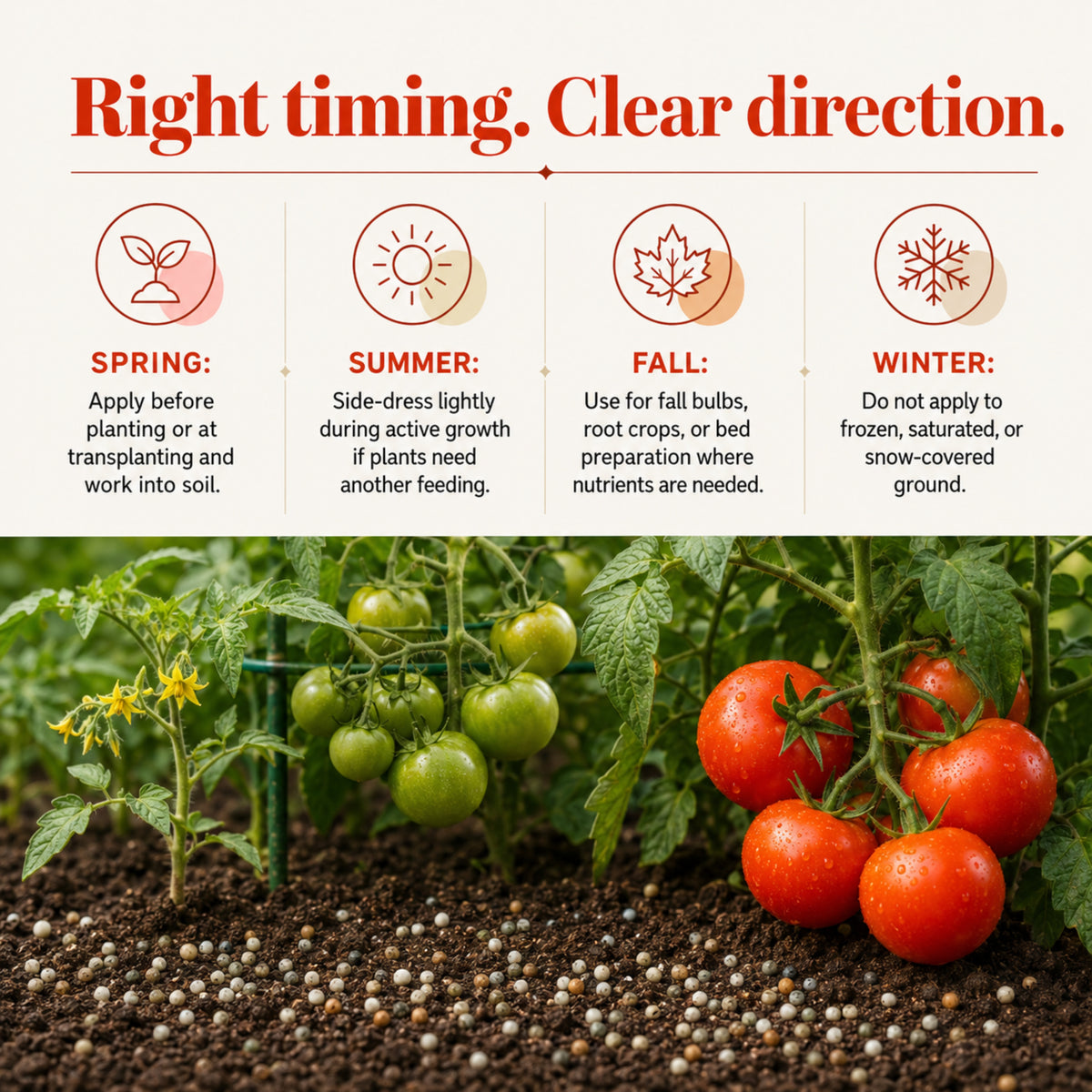 Wicked Growth Tomato Fertilizer