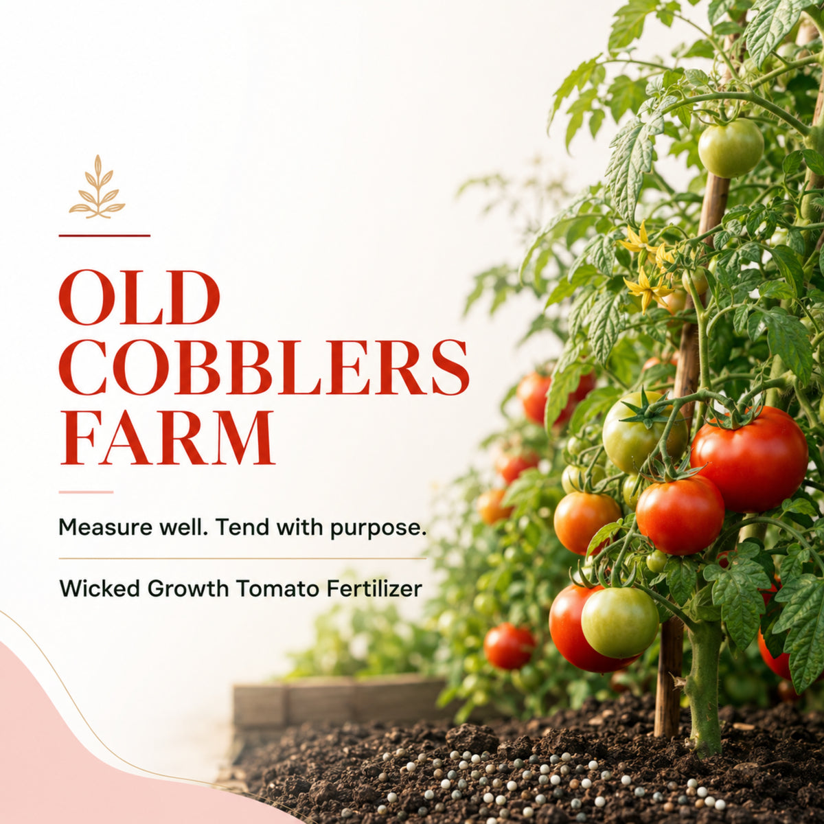 Wicked Growth Tomato Fertilizer