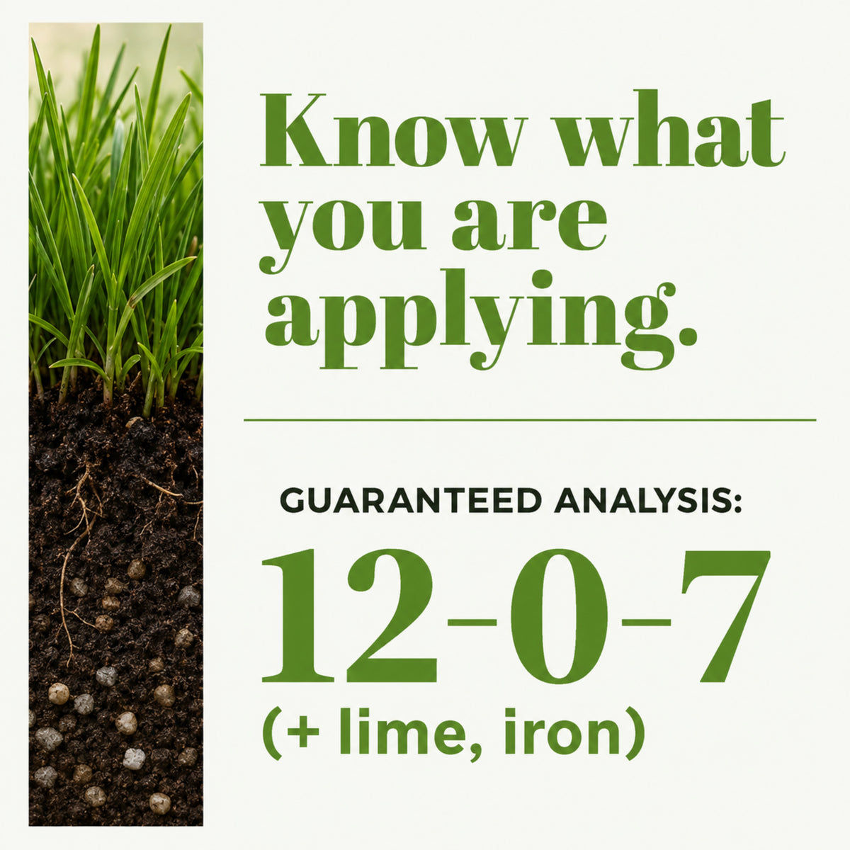 Wicked Growth Total Turf Lawn Fertilizer