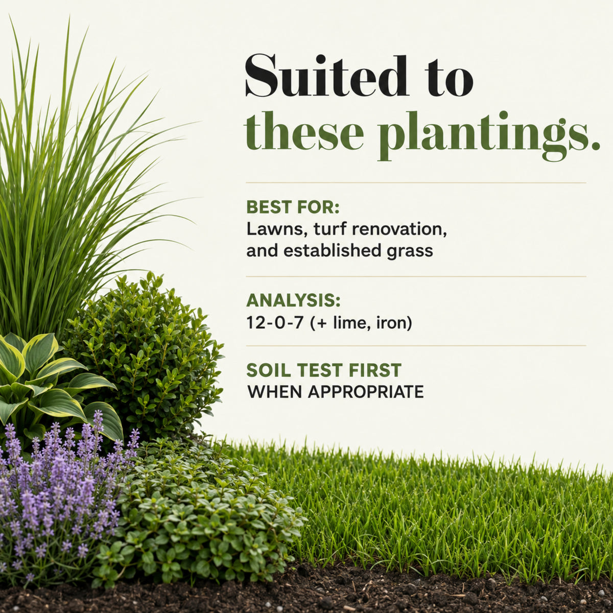 Wicked Growth Total Turf Lawn Fertilizer
