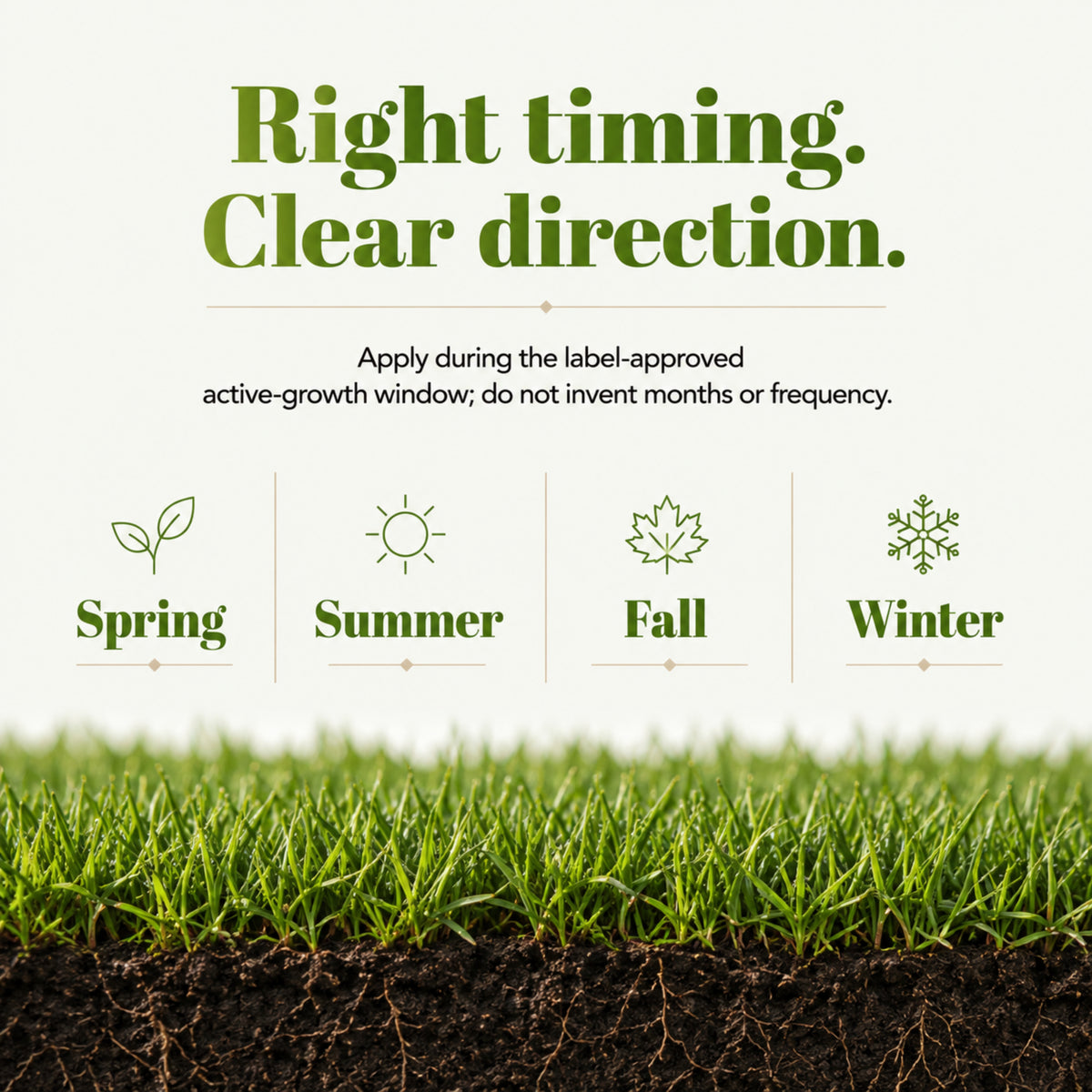 Wicked Growth Total Turf Lawn Fertilizer