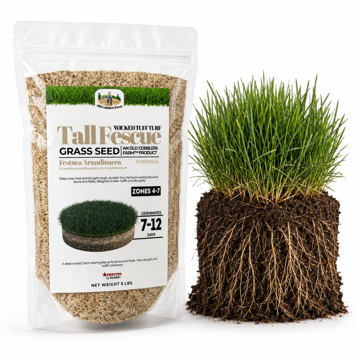 Wicked Tuff Turf Tall Fescue Seed