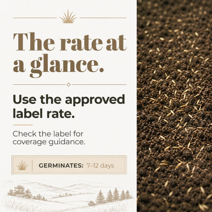 Wicked Tuff Turf Tall Fescue Seed