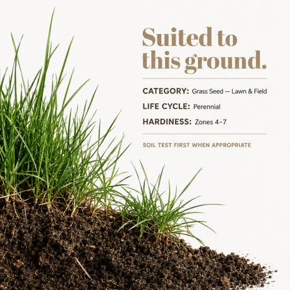 Wicked Tuff Turf Tall Fescue Seed