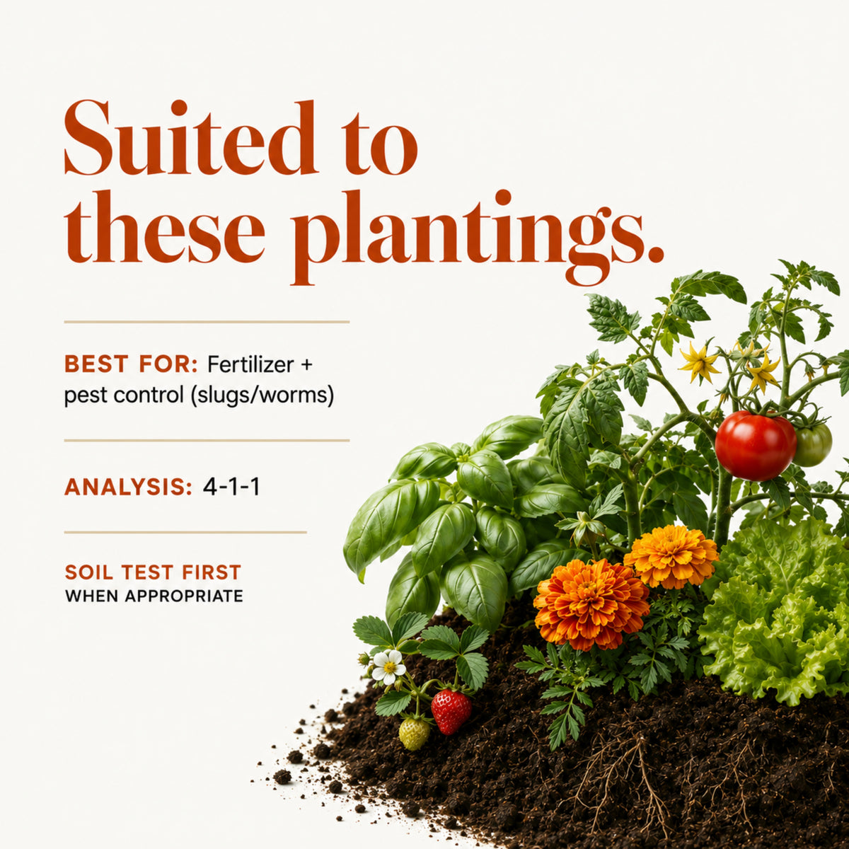 Wicked Organics Tea Seed Meal Fertilizer