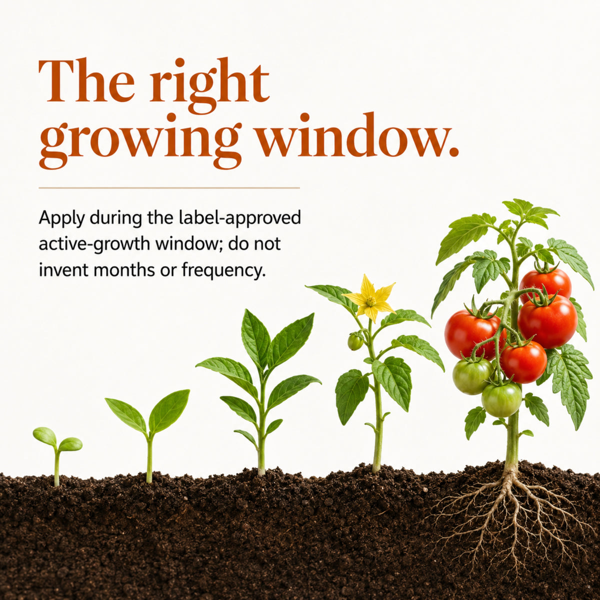 Wicked Organics Tea Seed Meal Fertilizer