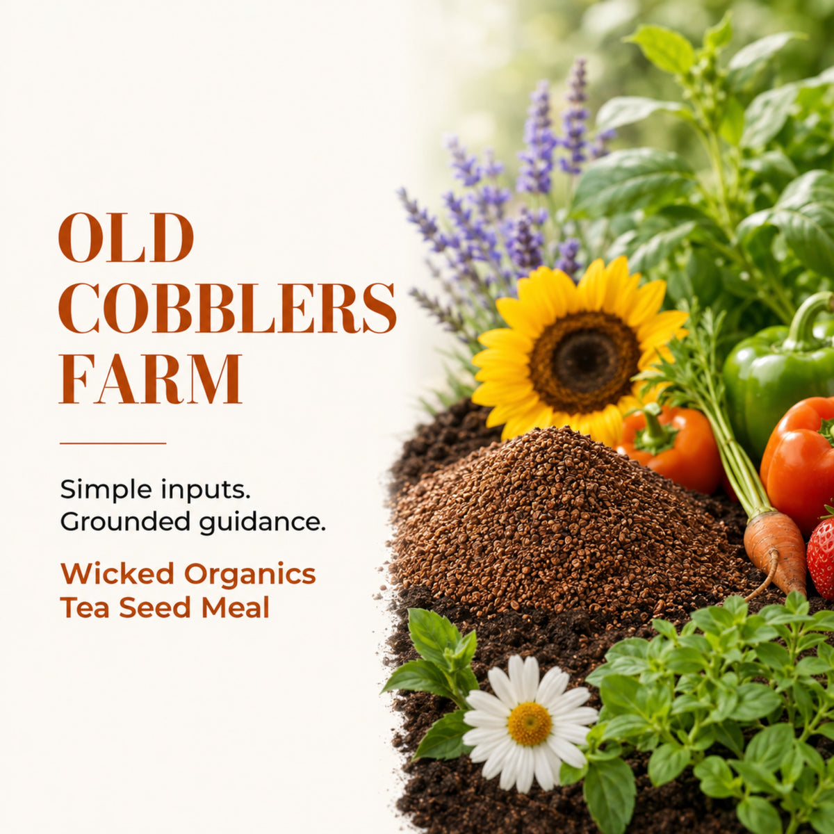 Wicked Organics Tea Seed Meal Fertilizer