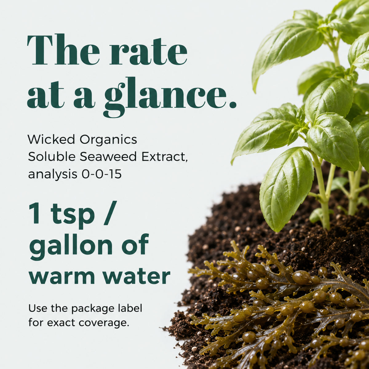 Wicked Organics Thick Skin Fertilizer