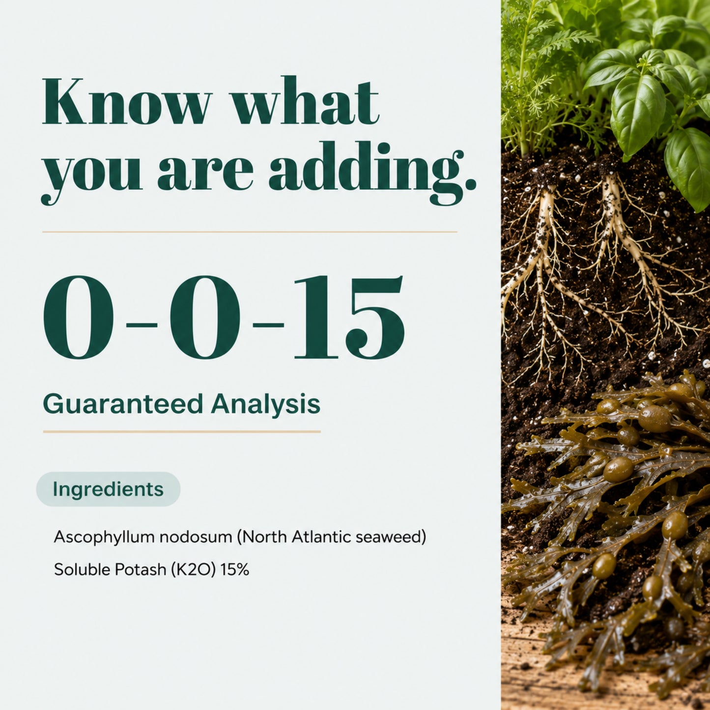 Wicked Organics Thick Skin Fertilizer