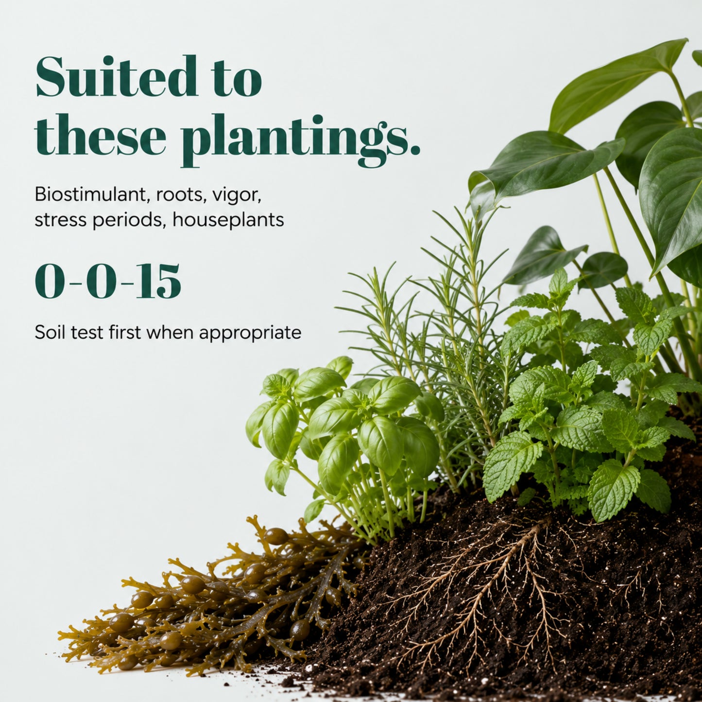 Wicked Organics Thick Skin Fertilizer