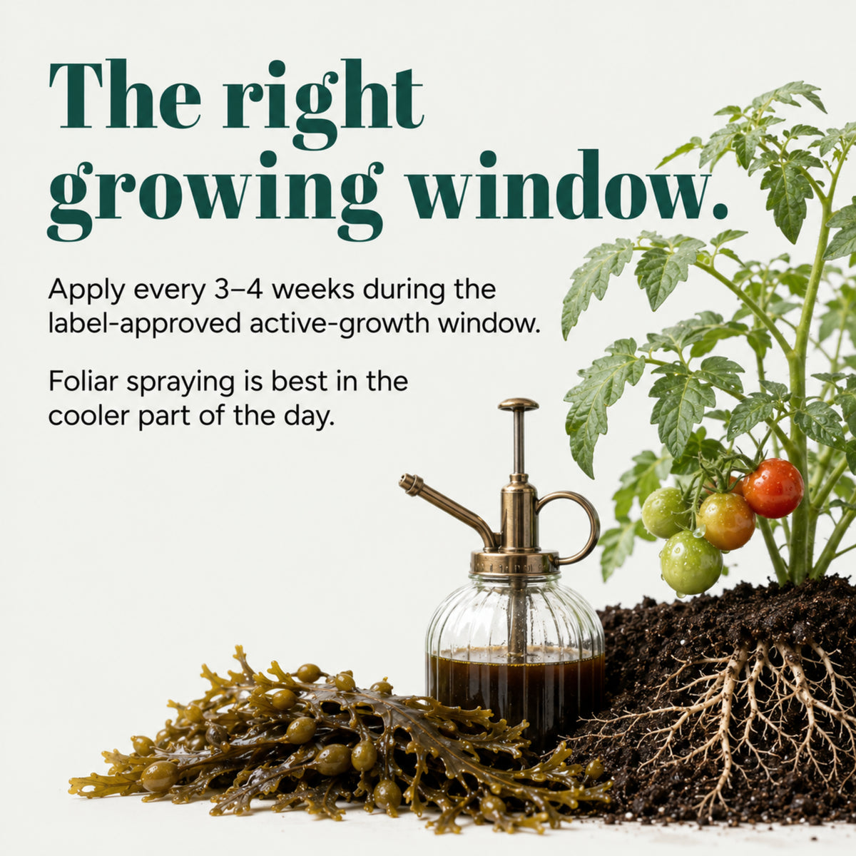 Wicked Organics Thick Skin Fertilizer