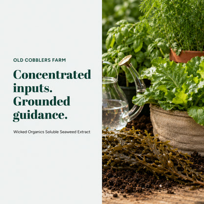 Wicked Organics Thick Skin Fertilizer