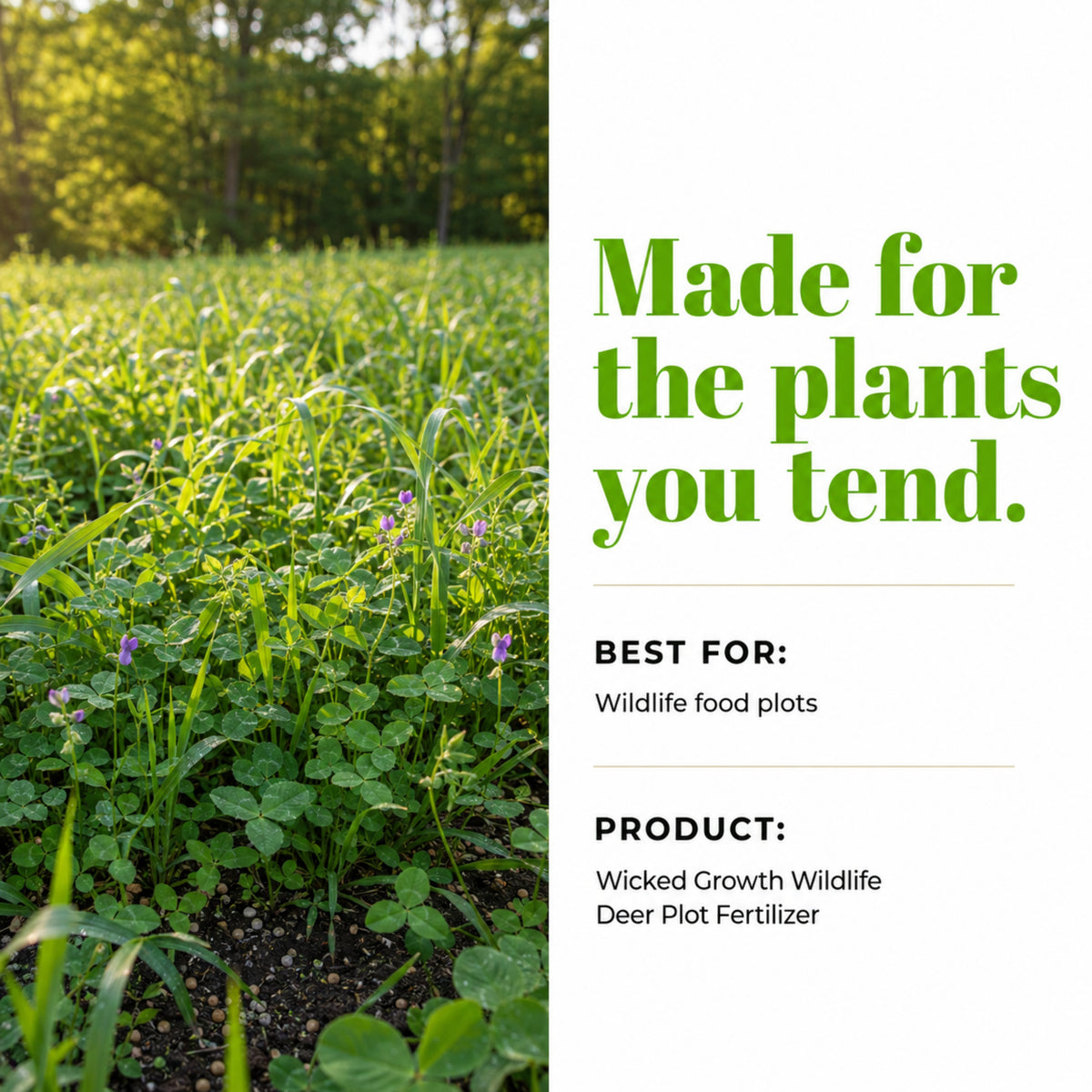 Wicked Growth Wildlife Deer Plot Fertilizer