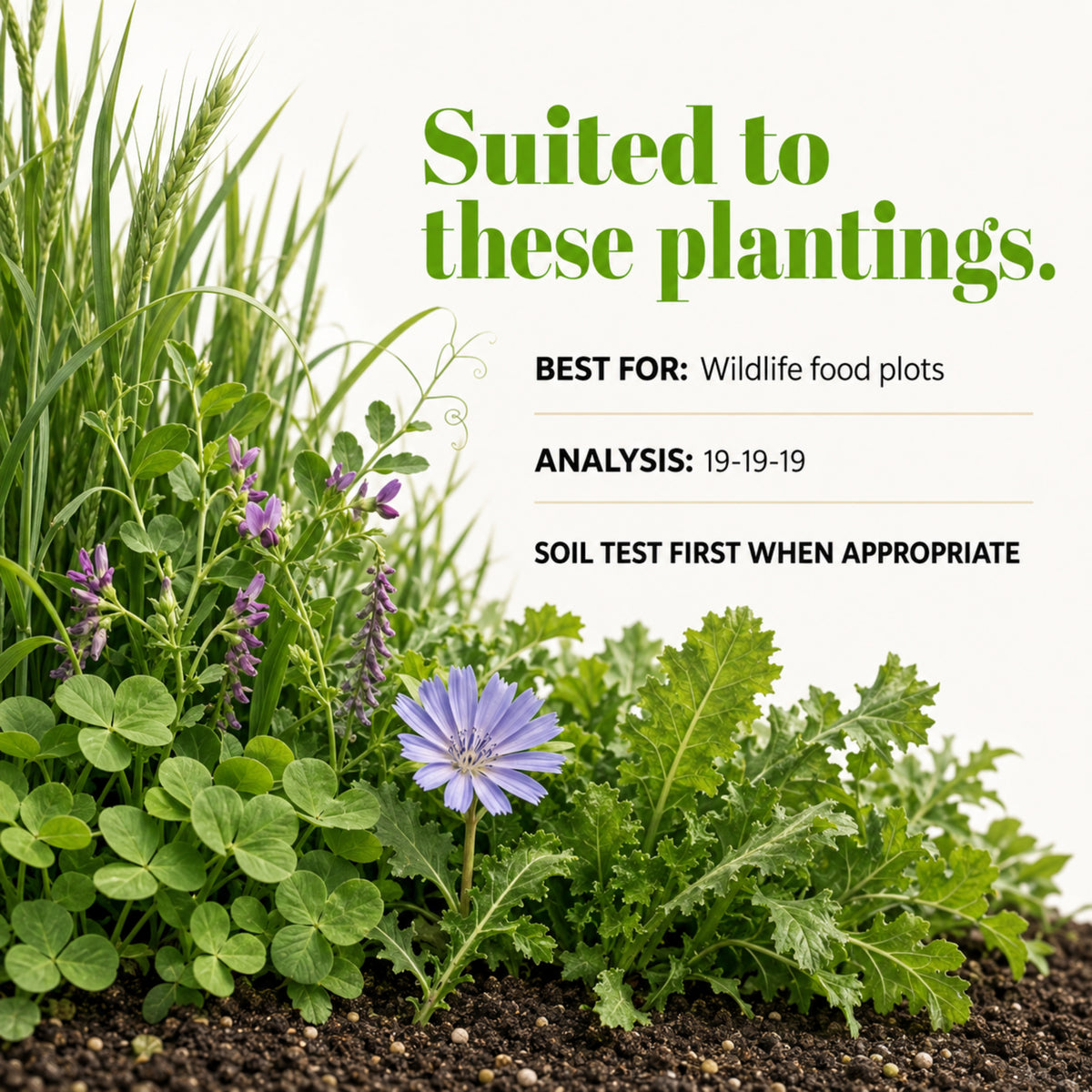 Wicked Growth Wildlife Deer Plot Fertilizer
