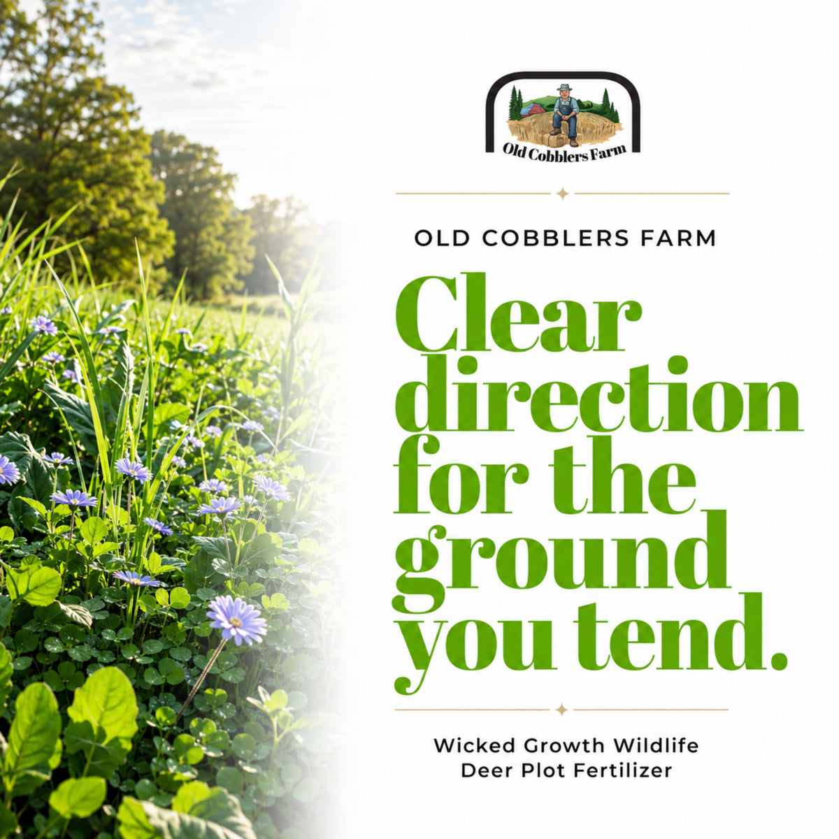 Wicked Growth Wildlife Deer Plot Fertilizer