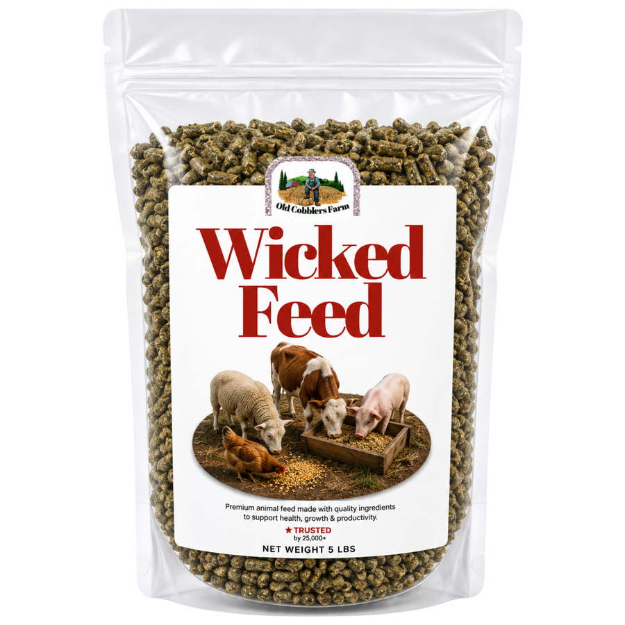 Wicked Feed
