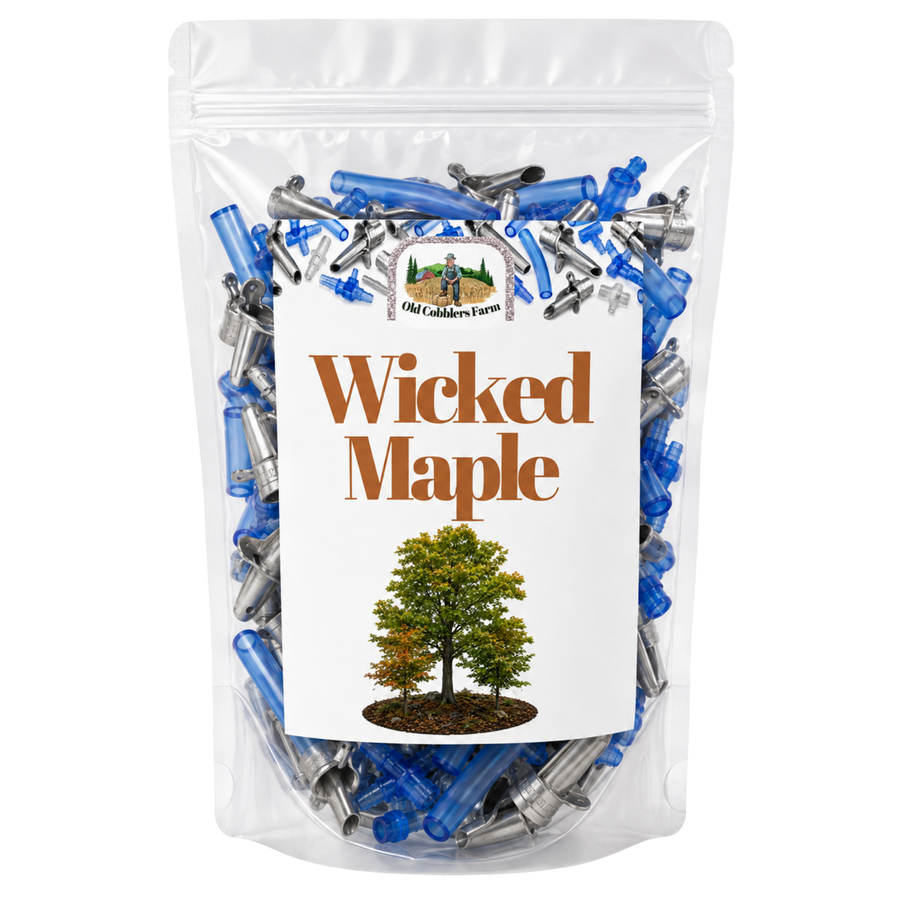 Wicked Maple