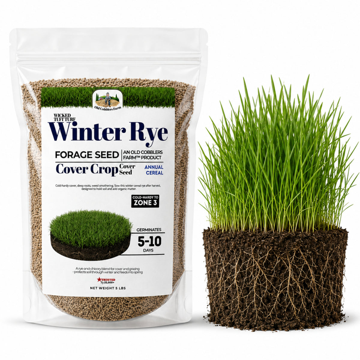 Wicked Tuff Turf Winter Rye Grass Seed