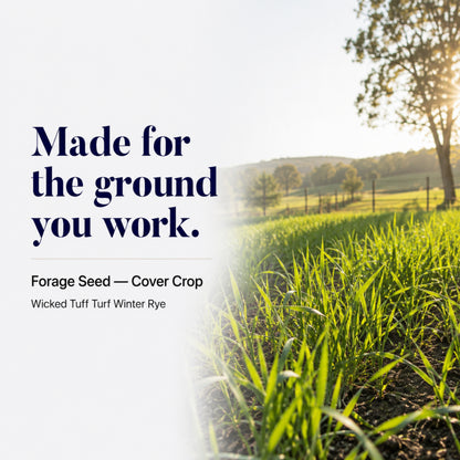Wicked Tuff Turf Winter Rye Grass Seed