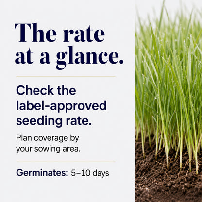 Wicked Tuff Turf Winter Rye Grass Seed