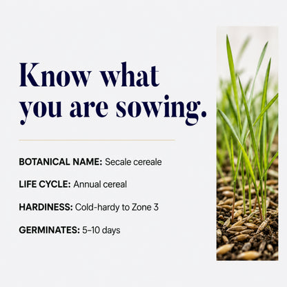 Wicked Tuff Turf Winter Rye Grass Seed