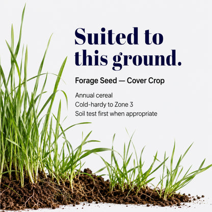 Wicked Tuff Turf Winter Rye Grass Seed