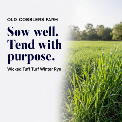 Wicked Tuff Turf Winter Rye Grass Seed