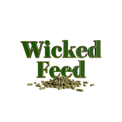 Wicked Feed